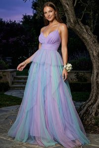 Two Tone Mesh Ruffle Maxi Dress