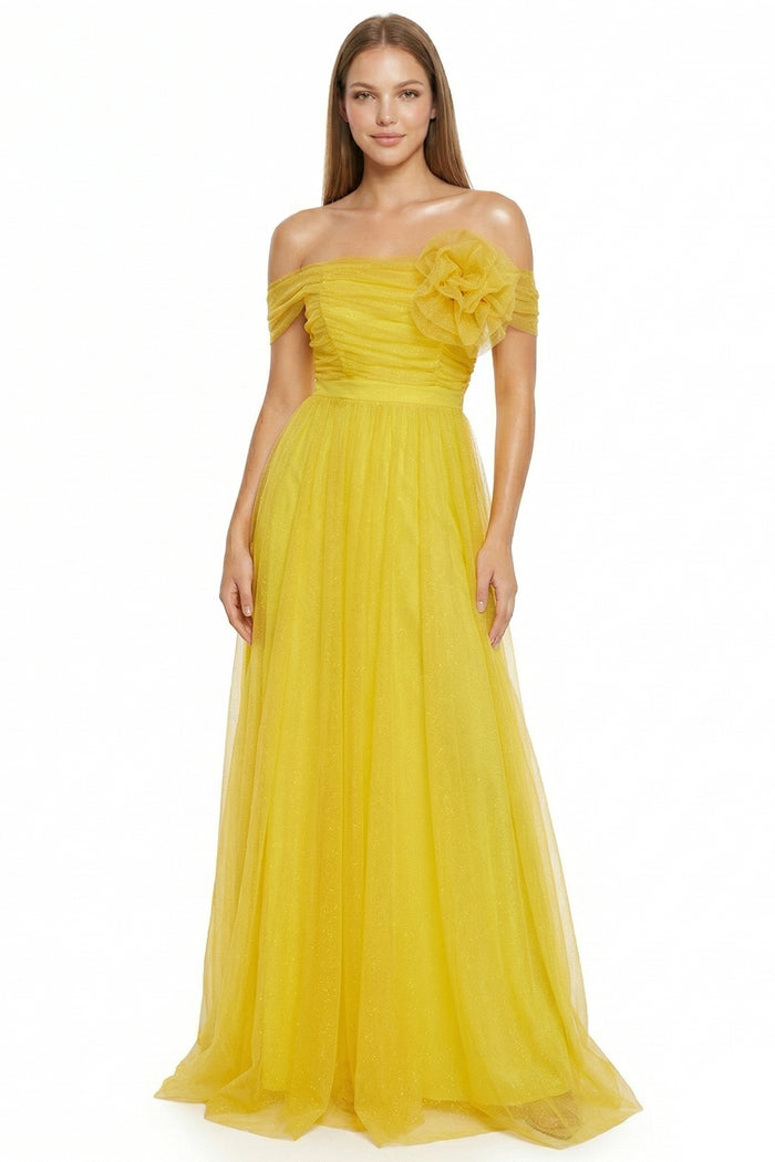 Glitter Mesh Tube Top Maxi Dress