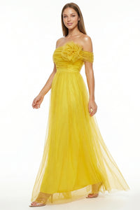 Glitter Mesh Tube Top Maxi Dress
