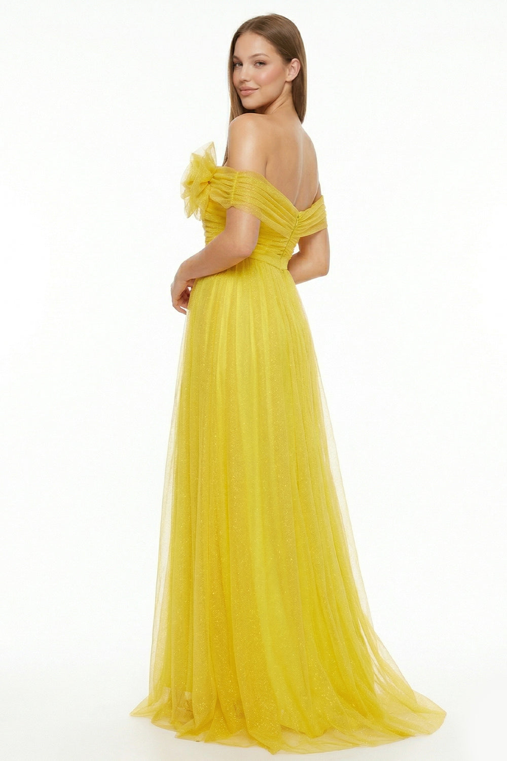 Glitter Mesh Tube Top Maxi Dress