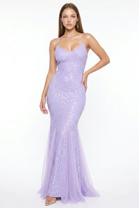 Sequin With Mesh Mermaid Silhouette Maxi Dress