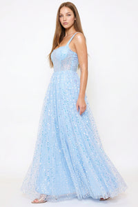 Sequins On Mesh Ball Gown Maxi Dress