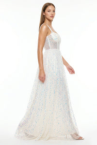 Sequins On Mesh Ball Gown Maxi Dress