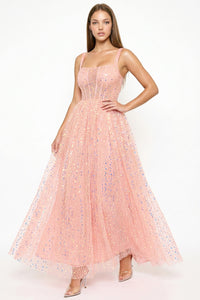 Sequins On Mesh Ball Gown Maxi Dress