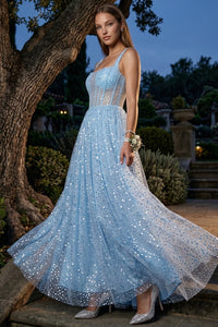 Sequins On Mesh Ball Gown Maxi Dress
