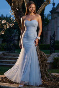 Overlay Mesh Mermaid Maxi Dress