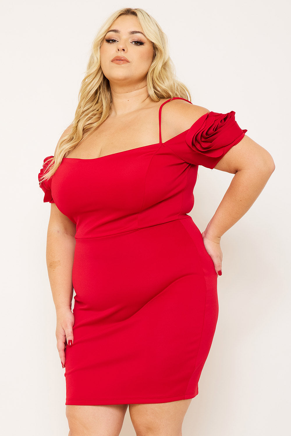 Symphony Dress - Flower Oblique On Sleeve Plus Size Night Out Mini Dress | Zezebe