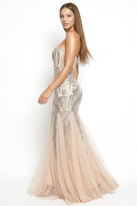 Sequin Sheer Mesh Formal Mermaid Maxi Dress